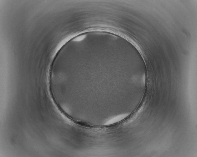 X0000112011533200908311124