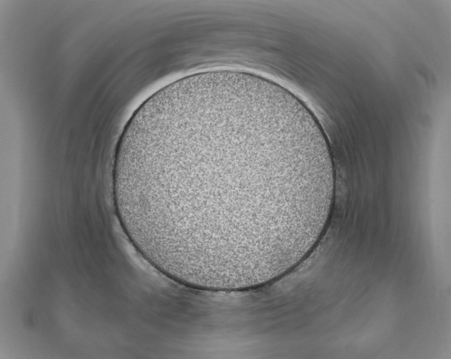 X0000112011534200908311124