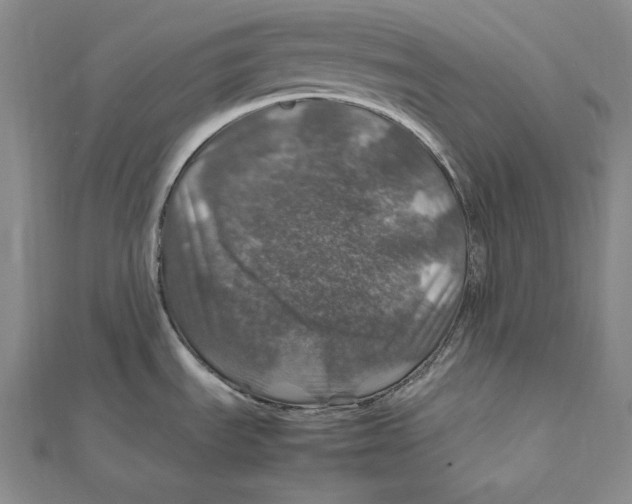 X0000112011535200908311124