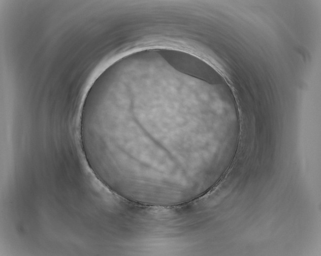 X0000112011536200908311124