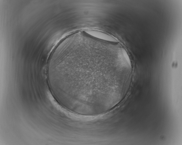 X0000112010002200909141137