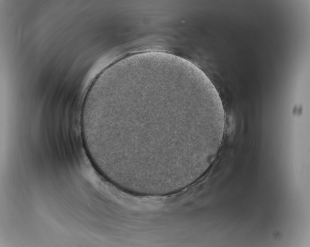 X0000112010004200909141137