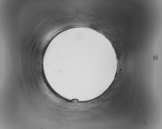 X0000112010005200909141137
