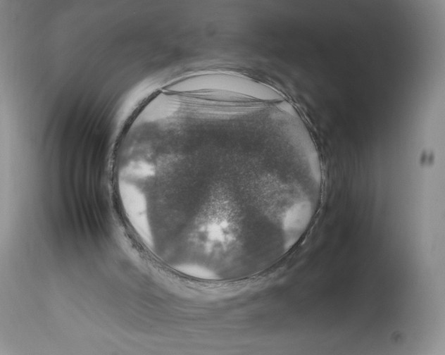 X0000112010006200909141137