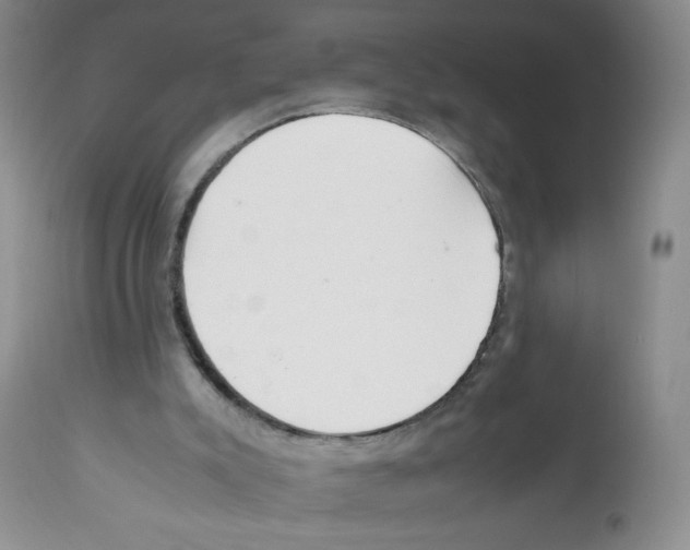 X0000112010007200909141137