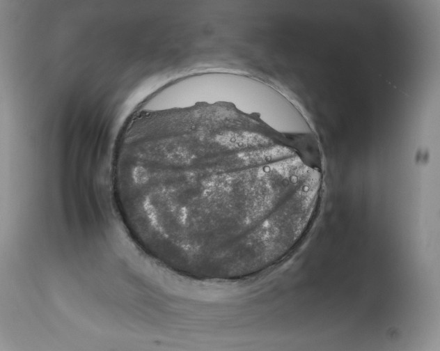 X0000112010008200909141137