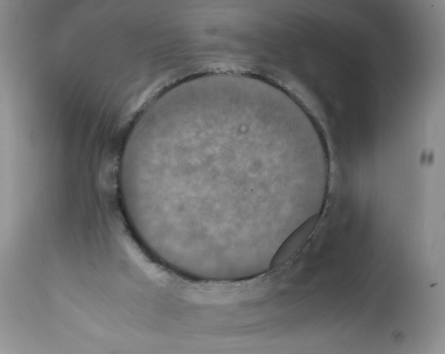 X0000112010009200909141137