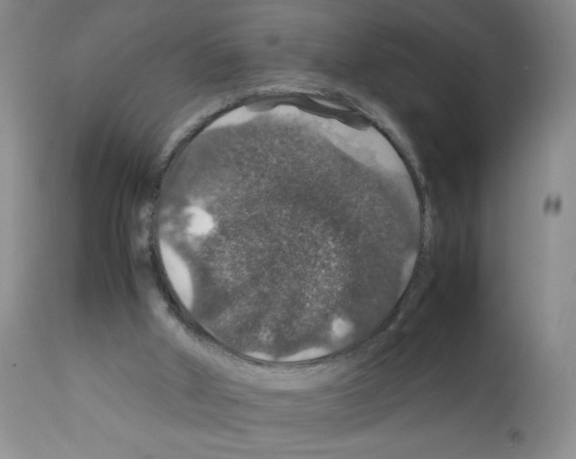 X0000112010010200909141137