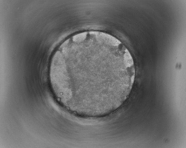 X0000112010012200909141137