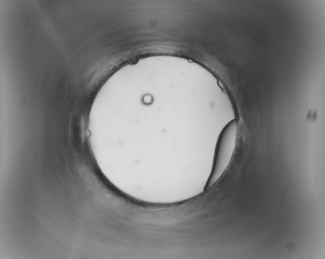 X0000112010013200909141137