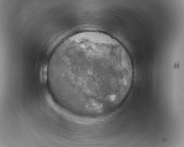 X0000112010014200909141137