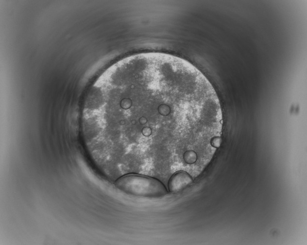X0000112010016200909141137