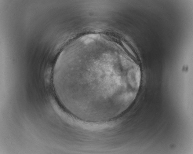 X0000112010018200909141137