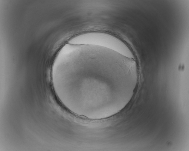 X0000112010019200909141137