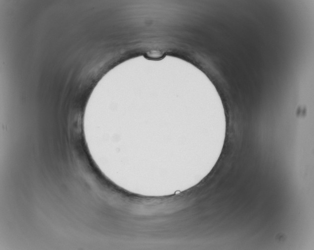 X0000112010021200909141137