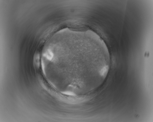 X0000112010022200909141137
