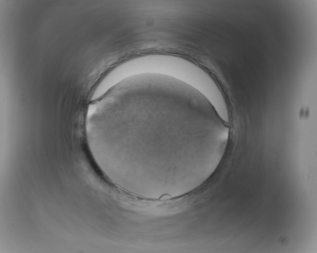 X0000112010023200909141137