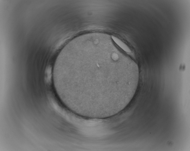 X0000112010024200909141137