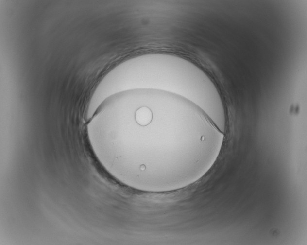 X0000112010025200909141137