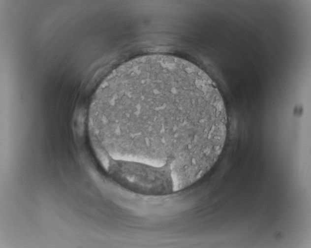 X0000112010026200909141137