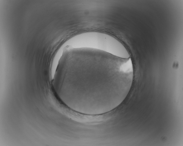 X0000112010027200909141137