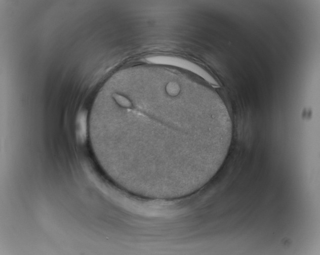 X0000112010028200909141136
