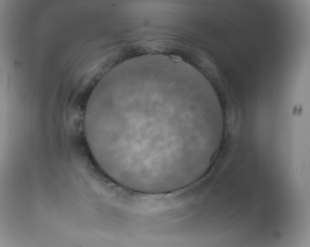 X0000112010029200909141136