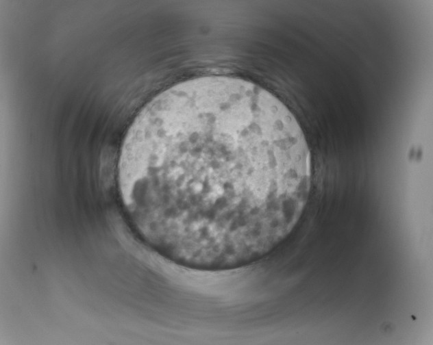 X0000112010030200909141136