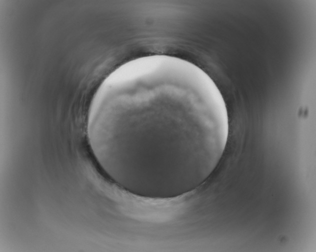 X0000112010031200909141136