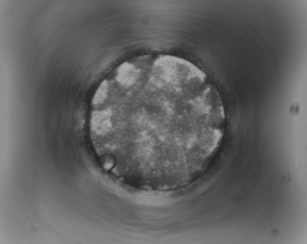 X0000112010032200909141136