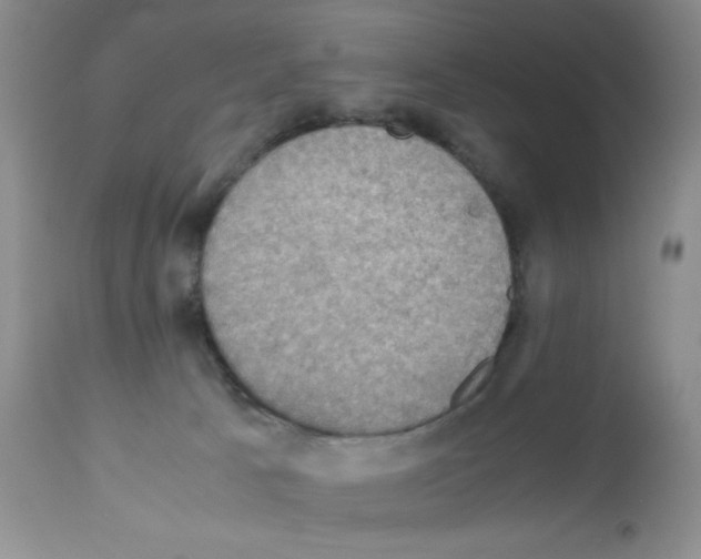 X0000112010033200909141136