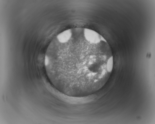 X0000112010034200909141136