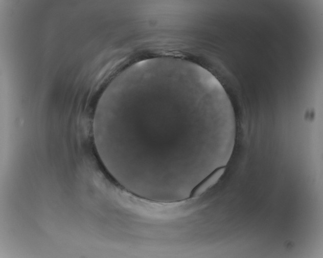 X0000112010035200909141136