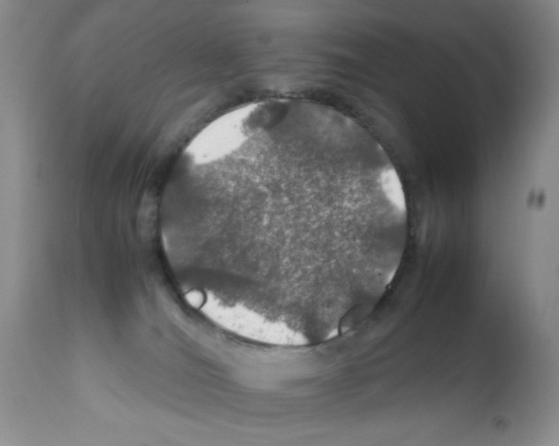 X0000112010036200909141136