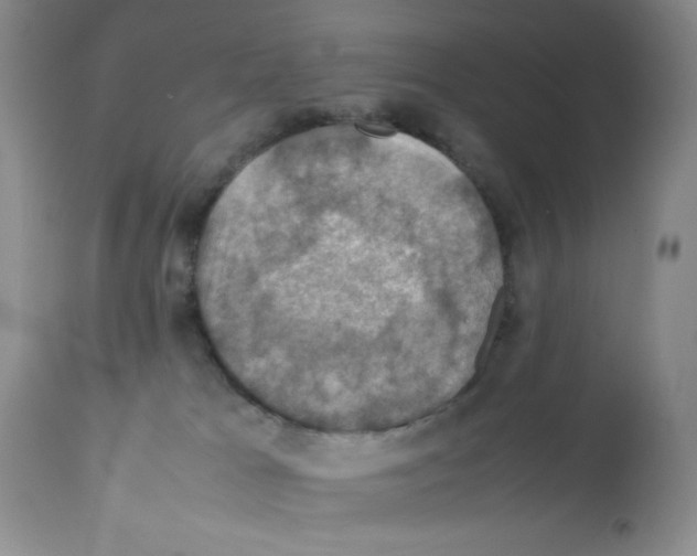 X0000112010037200909141136