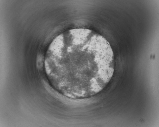 X0000112010038200909141136