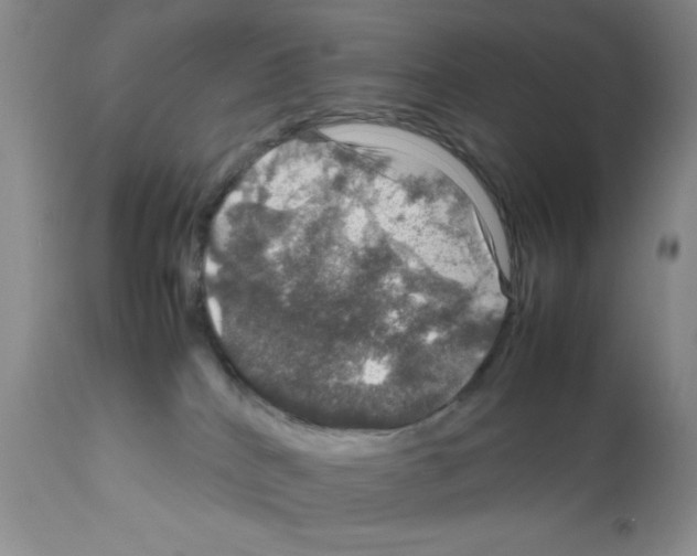 X0000112010040200909141136