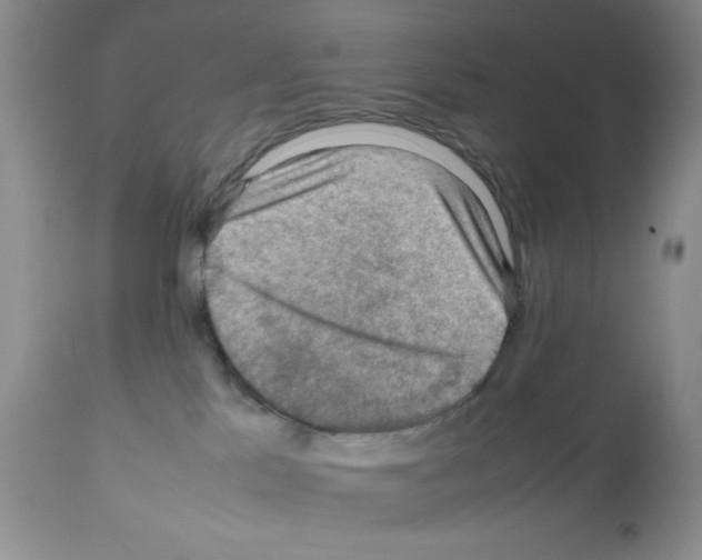 X0000112010041200909141136
