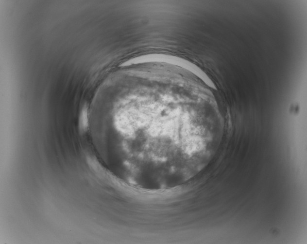 X0000112010042200909141136