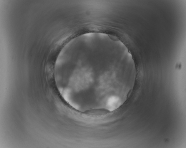X0000112010043200909141136