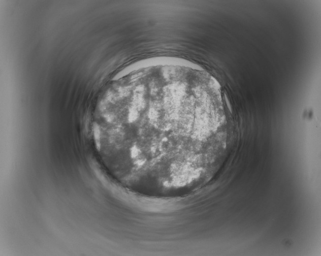 X0000112010044200909141136