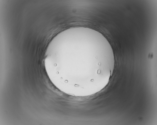X0000112010045200909141136
