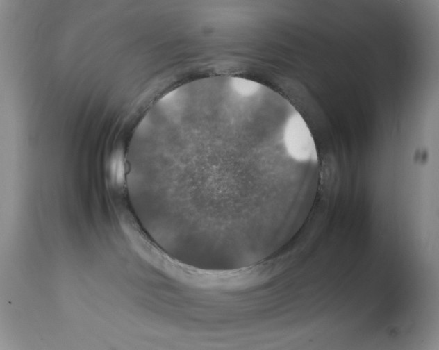 X0000112010046200909141136