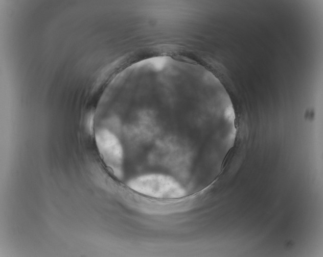 X0000112010047200909141136