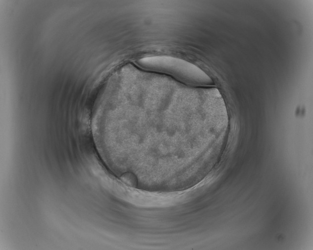 X0000112010048200909141136