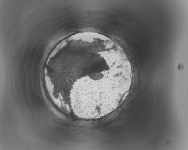 X0000112010049200909141136