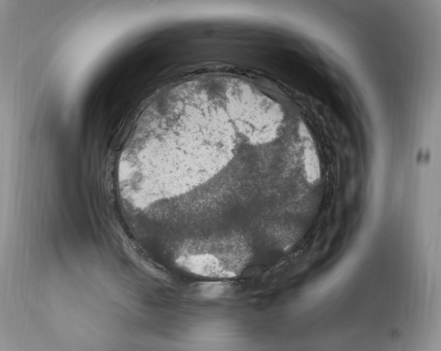 X0000112010050200909141136