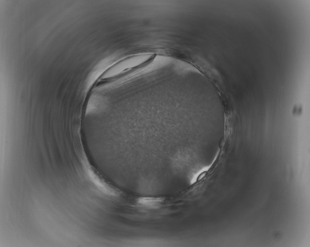 X0000112010051200909141136