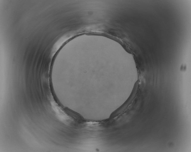 X0000112010052200909141136