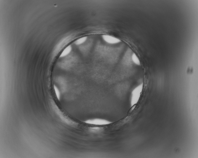 X0000112010053200909141136